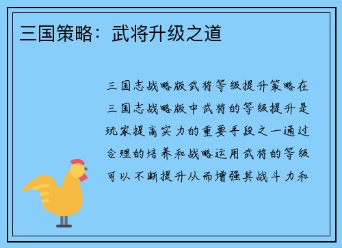 三国策略：武将升级之道
